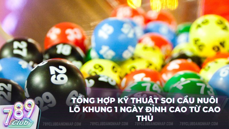 Tổng hợp kỹ thuật soi cầu nuôi lô khung 1 ngày đỉnh cao từ cao thủ
