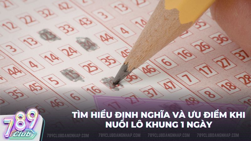 Hướng dẫn nuôi lô khung 1 ngày hiệu quả khi tham gia lô đề online 789